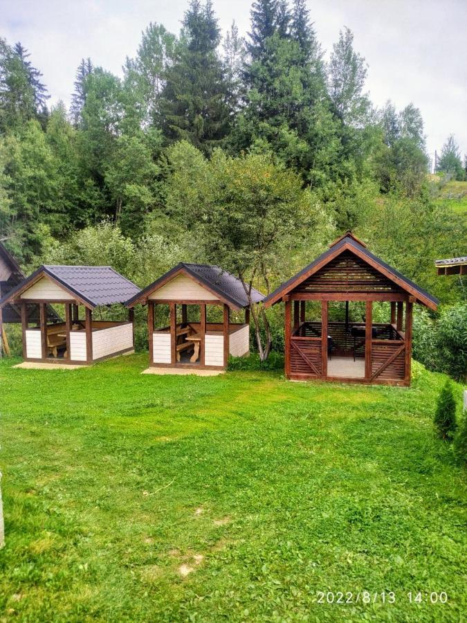 Відпочинковий комплекс Alpha Plus Яблуниця Екстер'єр фото